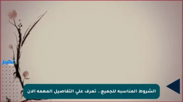 الشروط المناسبة للجميع.. تعرف على التفاصيل المهمة الآن